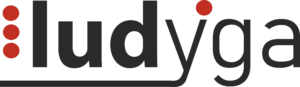 Ludyga - strony www, pozycjonowanie, sklepy online